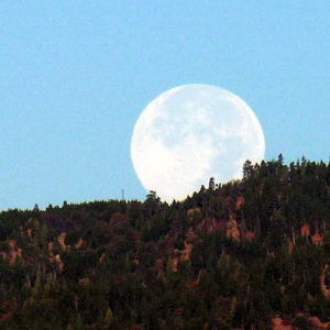 Close-up of full moon rising over a heavily treed mountain.