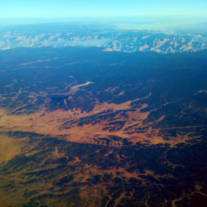 A view of the Grand Canyon from the air, the scene looking like a leaf.