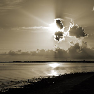 Sunset Walk On Clearwater Beach