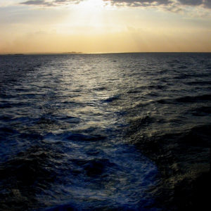 Memories and Choices