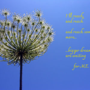 Reaching Higher and Higher