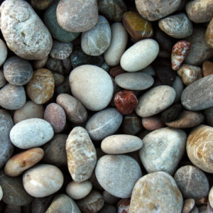 It Takes All Shapes and Colors