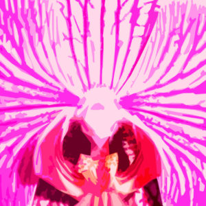 Wild Headress in Pink