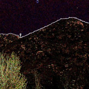 A Tree, A Star, and Half Moon