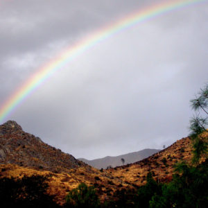 A rainbow over hills and trees.