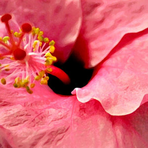 A painterly image of an up-close hibiscus center.