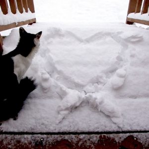 Jigmeh next to a heart drawn in the snow at a log cabin.