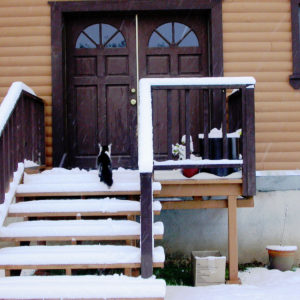Jigmeh climbing the stairs to a log cabin while it snows.