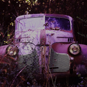 Front-facing photo of a vintage truck in the woods.
